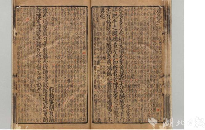 1708300249353076.jpg 21.jpg