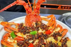 顺德辣椒饼焗澳洲龙