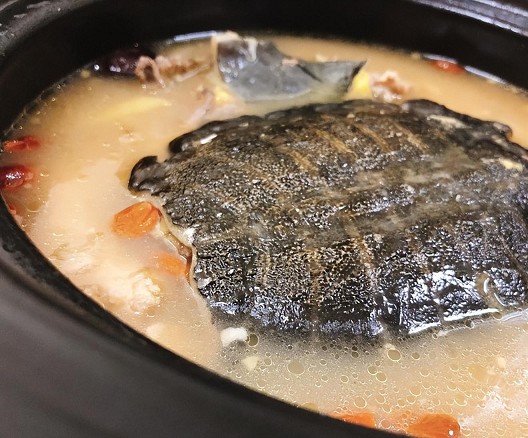 down (1)_眸目压缩.jpeg